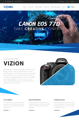 Vizion
